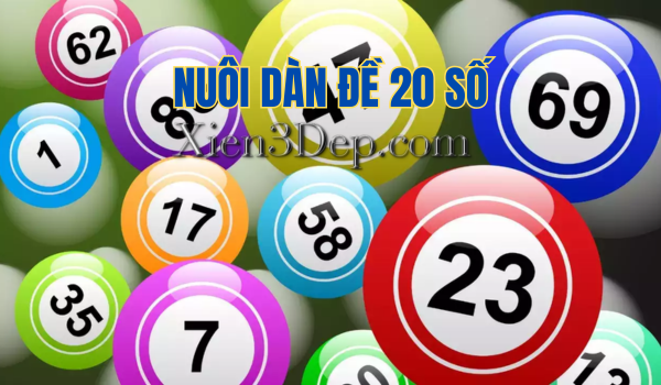 nuôi dàn đề 20 số