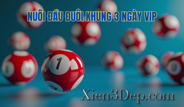 Nuôi đầu đuôi khung 3 ngày vip